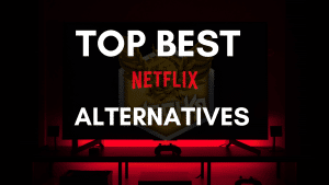 Top Best Netflix Alternatives